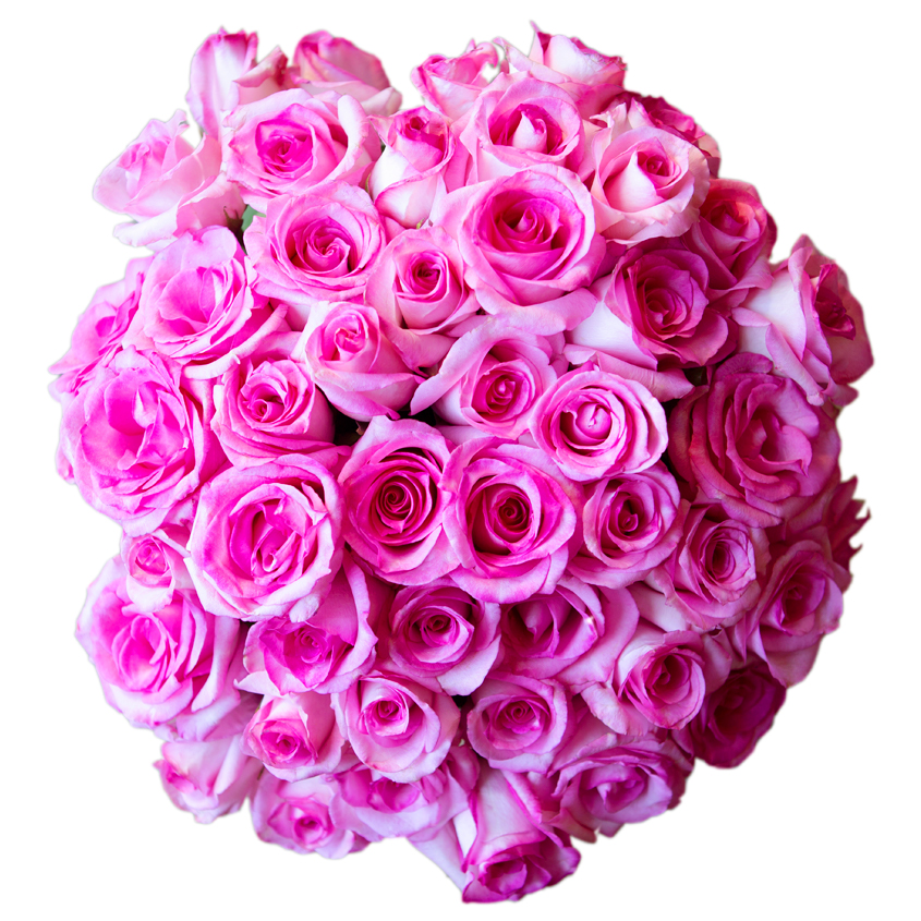 Fresh Flowers | Flowers for Delivery | Online Florist Arabella