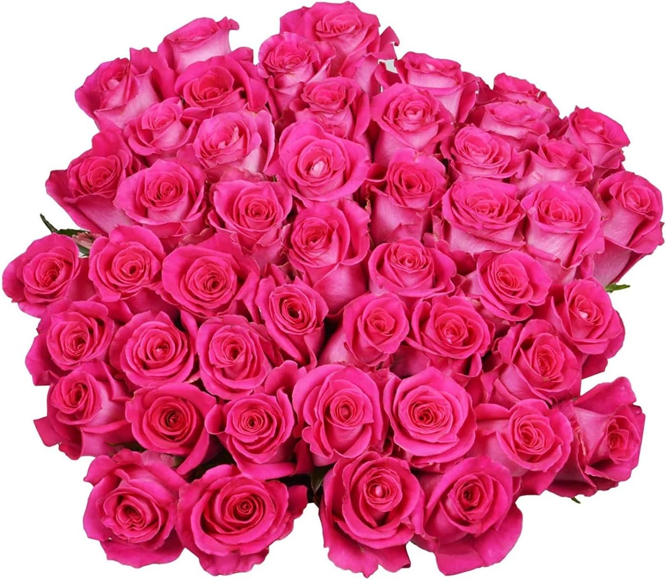 Fresh Flowers | Flowers for Delivery | Online Florist Arabella