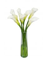 7 White Calla Lilies