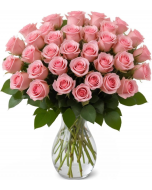 25 Pink Roses