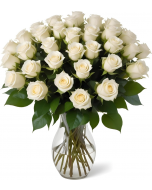 25 White Roses