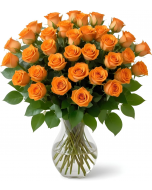 25 Orange Roses