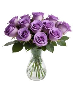 12 Purple Roses