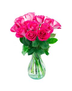 12 Hot Pink Rose