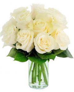 12 White Rose - 8 Pc
