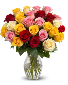 25 Rainbow Roses