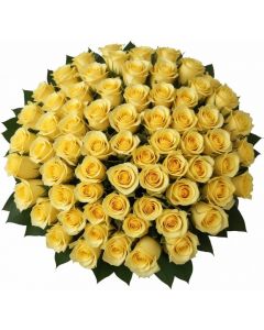 100 Yellow Roses