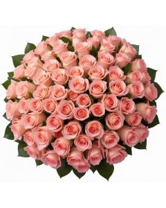 100 Pink Roses