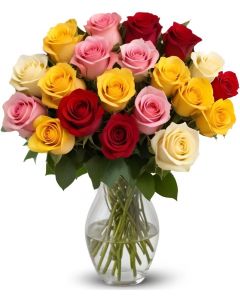 18 Rainbow Roses