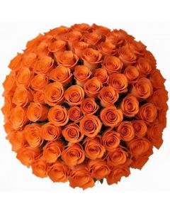 100 Orange Roses