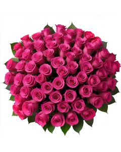 100 Hot Pink Roses