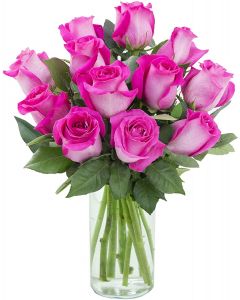 18  Hot Pink Roses