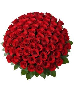 100 Red Roses