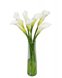 7 White Calla Lilies