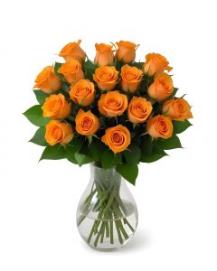 18 Orange Rose