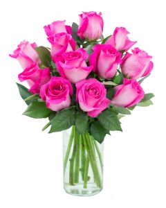 12 Hot Pink Rose - 8 Pc
