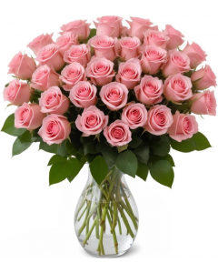25 Pink Roses