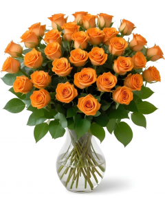 25 Orange Roses