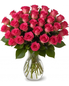 25 Hot Pink Roses