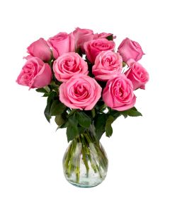 12 Pink Rose