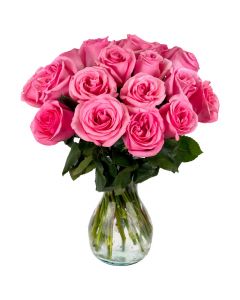 18 Pink Roses