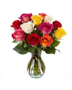 12 Rainbow Roses