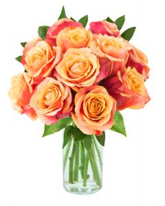 12 Orange Rose - 8 Pc