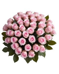 50 Pink Roses