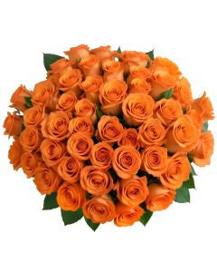 50 Orange Roses