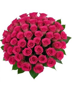 50 Hot Pink Roses