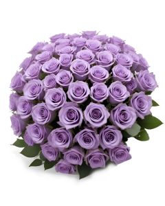 50 Purple Roses