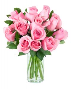 18 Pink Roses - 8 Pc