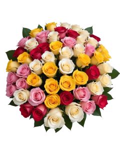 50 Rainbow Roses
