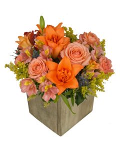 Cinnamon Sugar in Wooden Vase