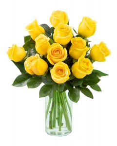 12 Yellow Roses
