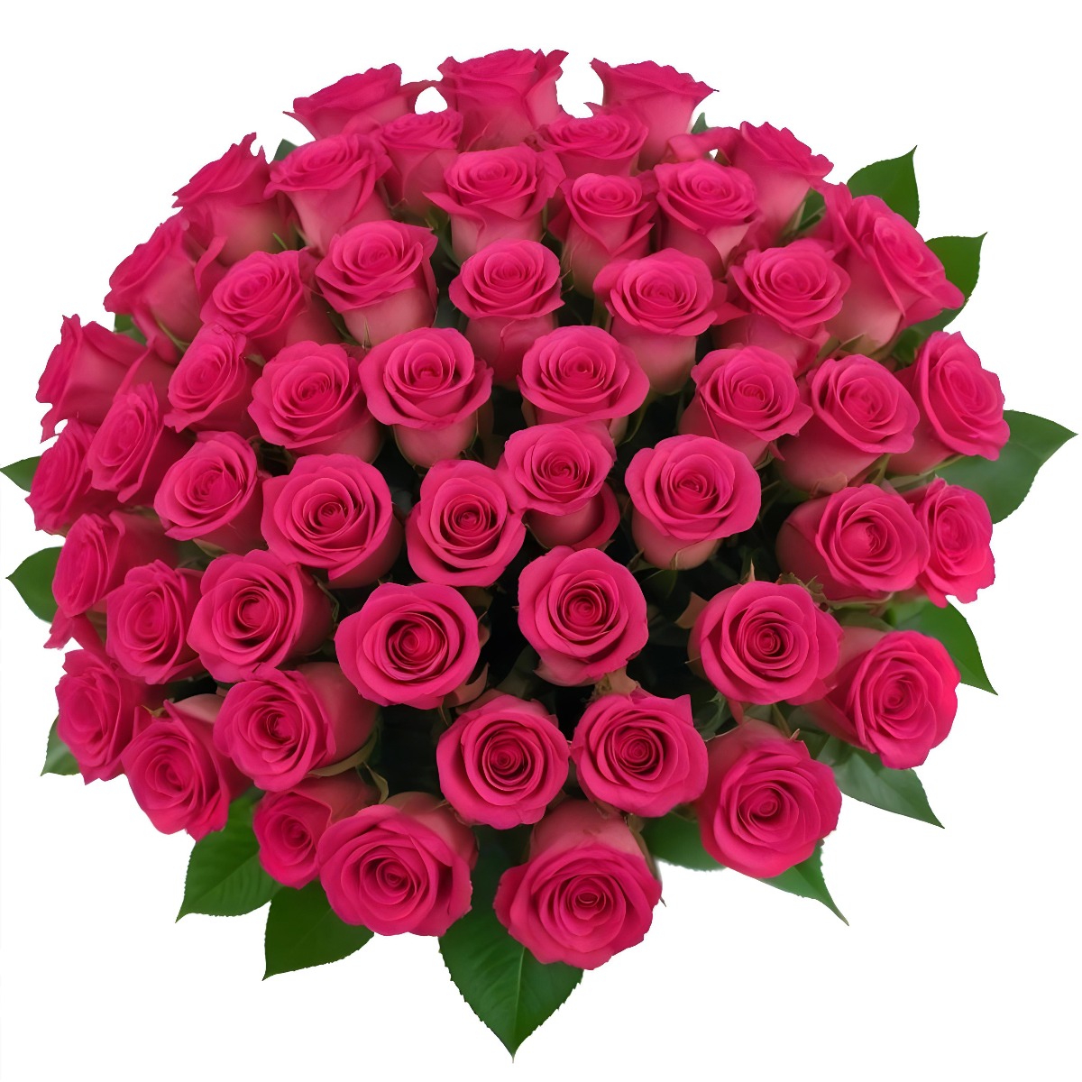 Flower | Order fresh flowers online | Zen Bouquet